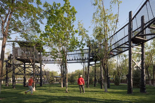 光影童夢，唐山皮影主題樂園 奧雅設計打造沉浸式兒童景觀新地標